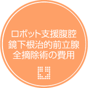 ロボット支援腹腔鏡下根治的前立腺全摘除術の費用