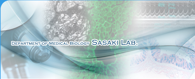 SASAKI　LAB