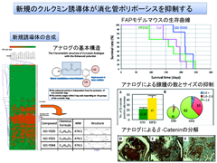 図11