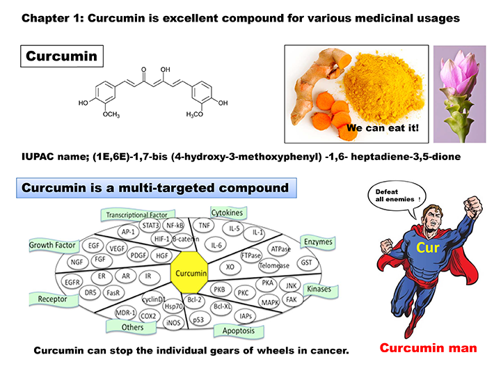 Super-Curcumin Story