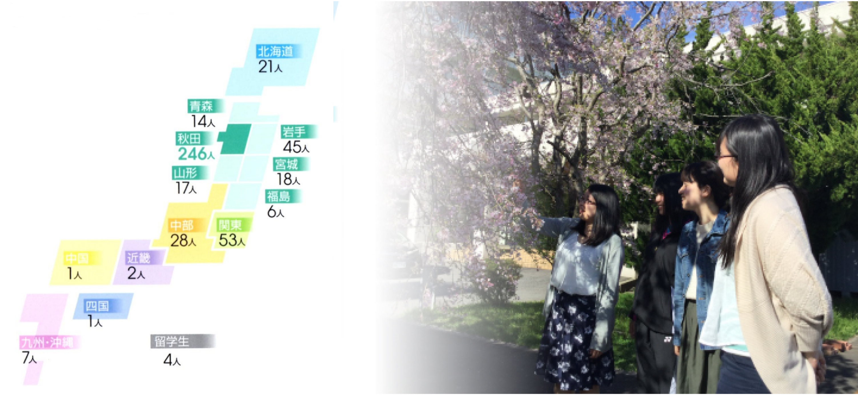 出身地域別人数 ※平成29年4月1日現在