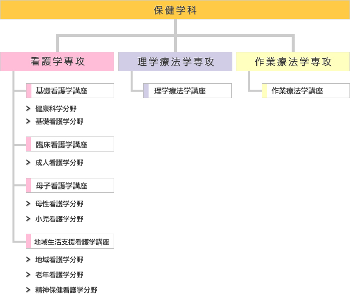 保健学科の構成
