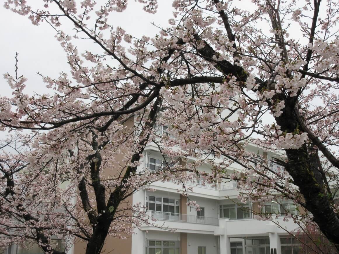 令和5年度 保健学科・保健学専攻新入生ガイダンス