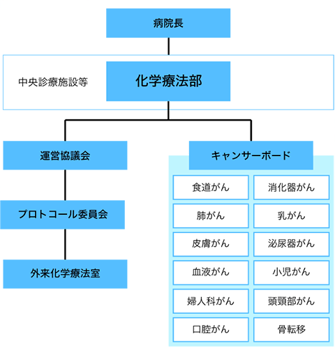 秋田大学医学部付属病院化学療法部組織図