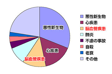 図1 平成16年度人口動態統計より 図1 平成16年度人口動態統計より