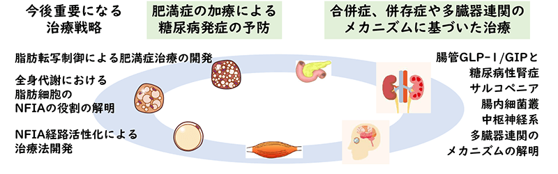 病気の進行・加齢