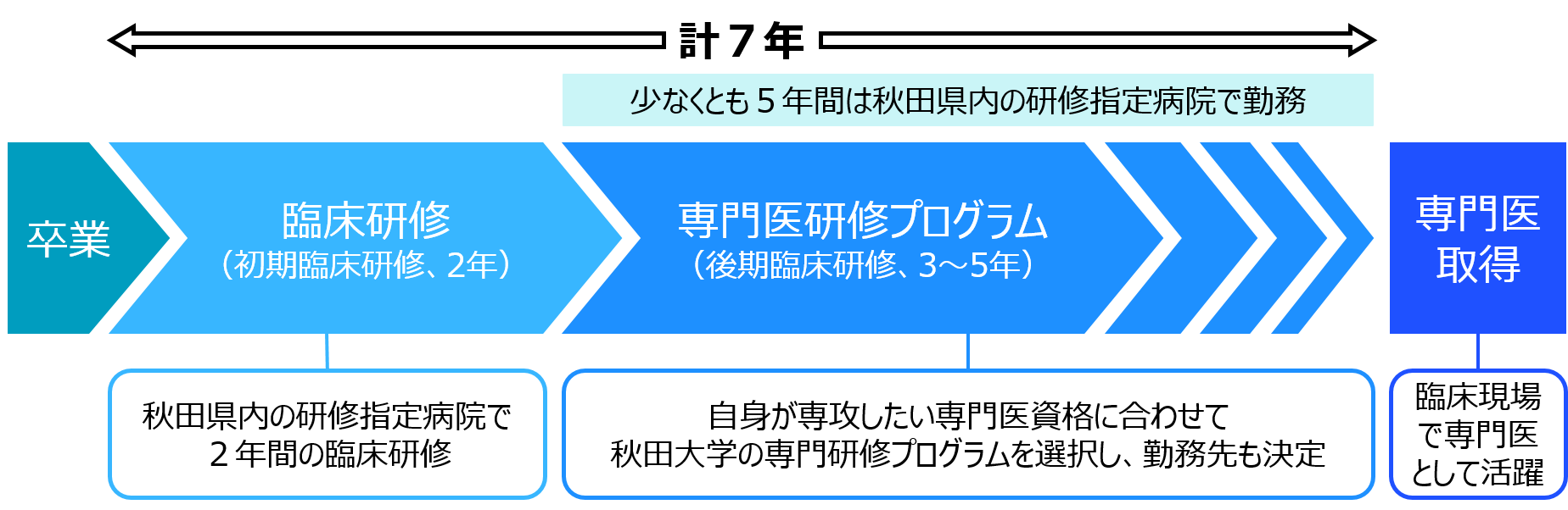 東北地域枠のキャリアパスについて