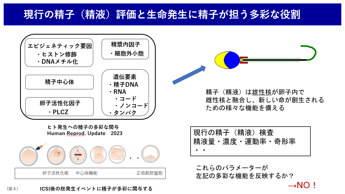 現行の精子評価と生命発生に精子が担う多彩な役割