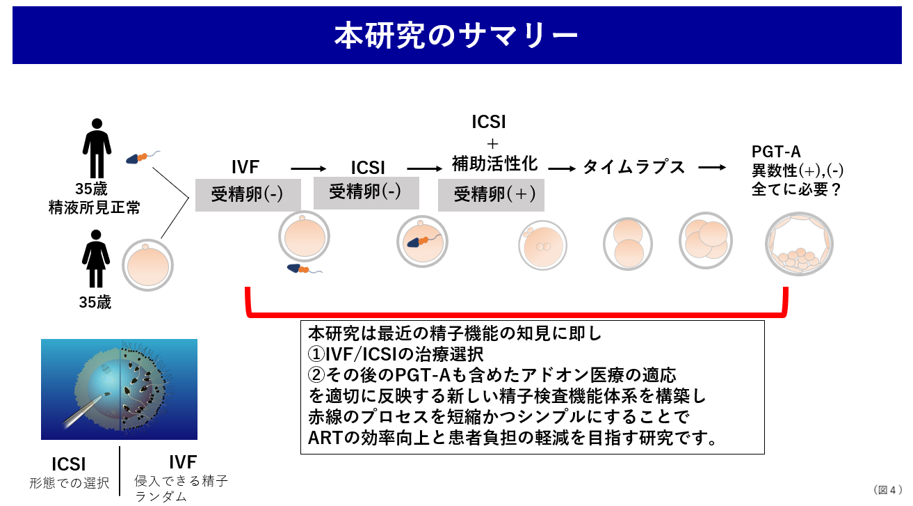 本研究のサマリーフローチャート