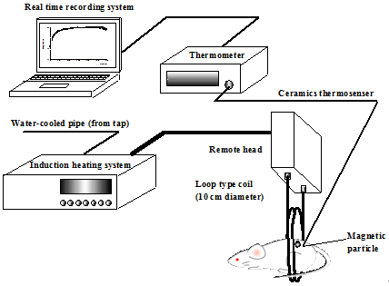 磁場誘導加熱による癌の新しい温熱療法に関する研究