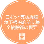 ロボット支援腹腔鏡下根治的前立腺全摘除術の概要