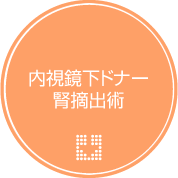 内視鏡下ドナー腎摘出術