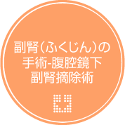 副腎（ふくじん）の手術-腹腔鏡下副腎摘除術