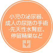 小児の泌尿器、成人の尿路の手術-先天性水腎症、停留精巣など