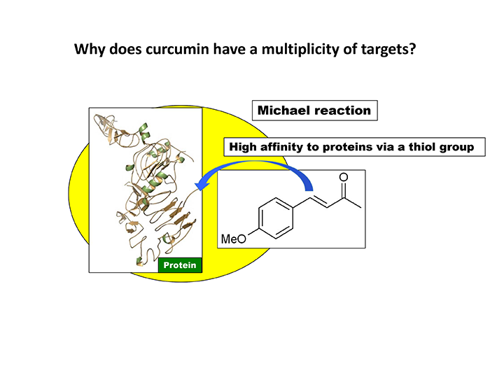 Super-Curcumin Story