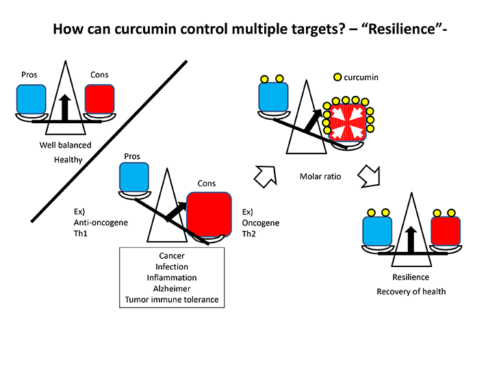 Super-Curcumin Story