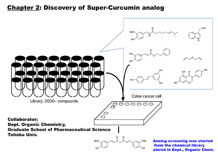 Super-Curcumin Story
