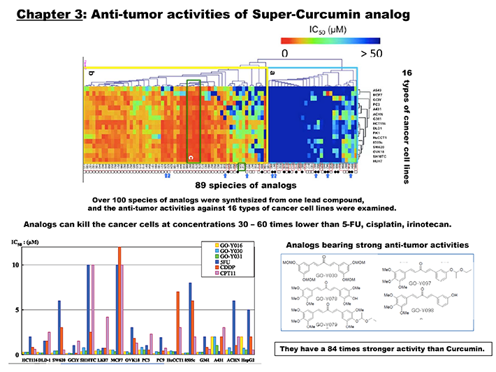 Super-Curcumin Story