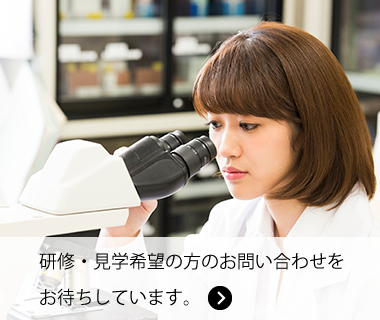 研修・見学希望の方のお問い合わせをお待ちしています。