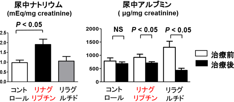 尿中ナトリウム、尿中アルブミン