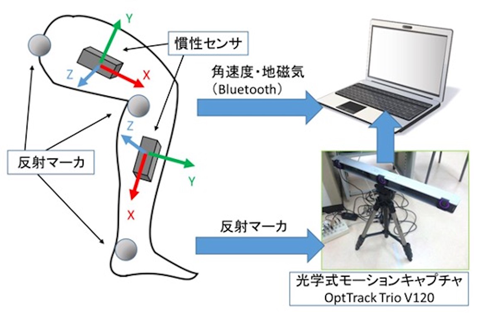 動作解析