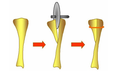 写真1　ラット脛骨に骨きりを行いワイヤーで締結し海綿骨癒合の経過を評価する。